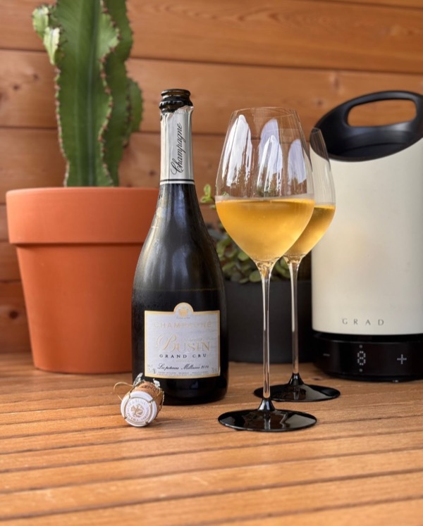 Die Les Potences - Cuvée Blanche Grand Cru von @champagnejacquesbusin habe ich an einem Nachmittag I’m letzten Sommer genossen: lange, warme Sonne,…