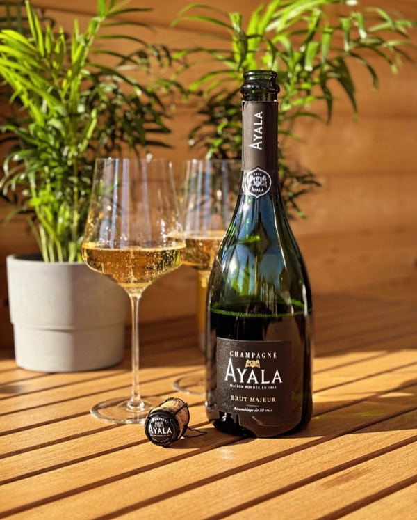 Was gibt’s Schöneres als einen richtig sonnigen Frühlingstag im Garten? ☀️ Genau: Einen sonnigen Frühlingstag mit einem Glas Champagner in der Hand.…