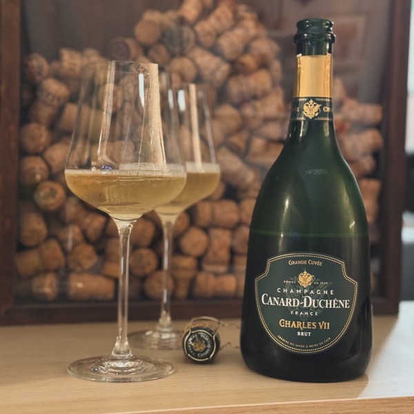 Der Christbaum ist rausgeflogen, und so langsam kehrt der Alltag wieder ein. Nächste Woche geht es los – der Business-Alltag ruft. 💼 Aber bevor es…