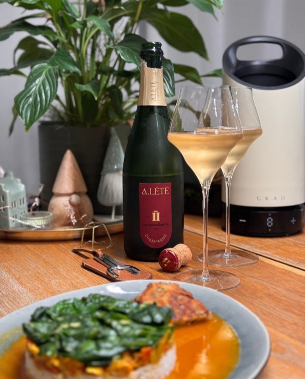 Am 27.12. gab es Reste vom Weihnachtstruthahn mit Reis, Spinat und den letzten Knödeln – alles zusammen als Curry.

Dazu habe ich mir bewusst noch…