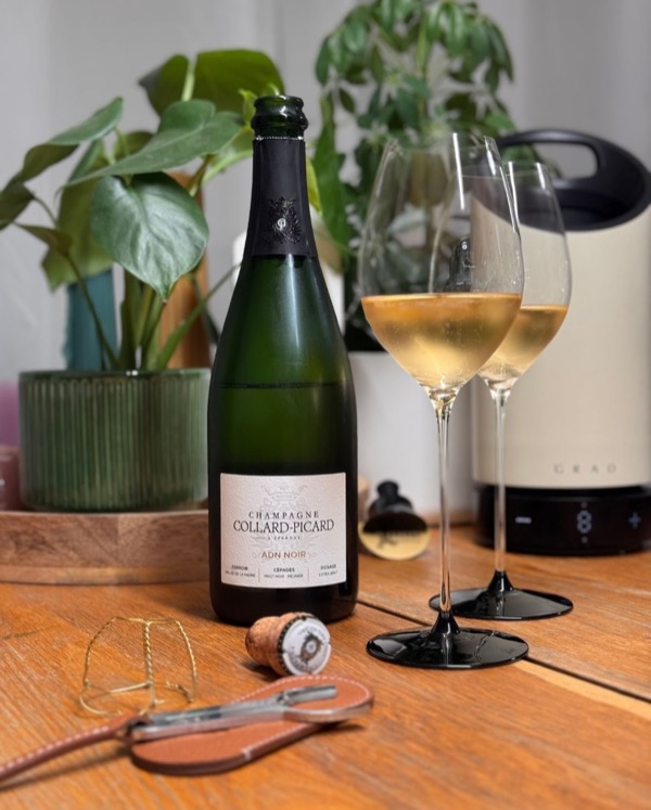 Gestern habe ich die erste Flasche von @champagnecollardpicard probiert – und zwar den ADN Noir.

Ein Blanc de Noirs aus 50 % Meunier und 50 % Pinot…