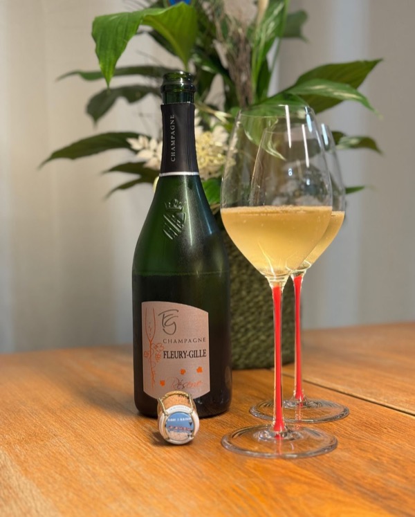 @champagne_fleury_gille – Brut Réserve 🍯🍑

Dieser Brut war eine echte Überraschung: Reife Frucht, zurückhaltende Süße, schöne Tiefe – und doch…