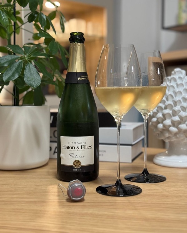 🍂 Der Herbst macht sich bemerkbar – draußen regnerisch und kühl, also sind wir abends vom Balkon ins Wohnzimmer umgezogen. Kerzenlicht statt…