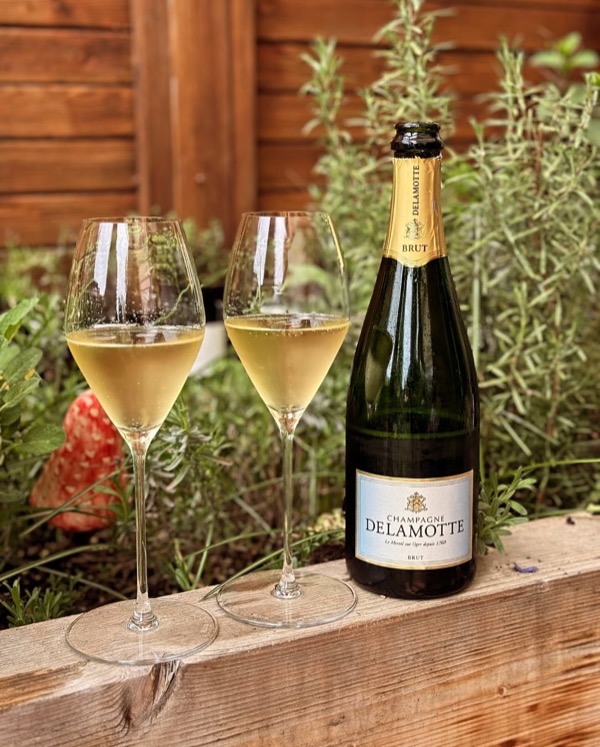 Heute so warm, dass der Gedanke an den 10 °C kalten Pool plötzlich gar nicht mehr so verrückt klingt.

Und passend zur Mittagssonne: ein Glas…