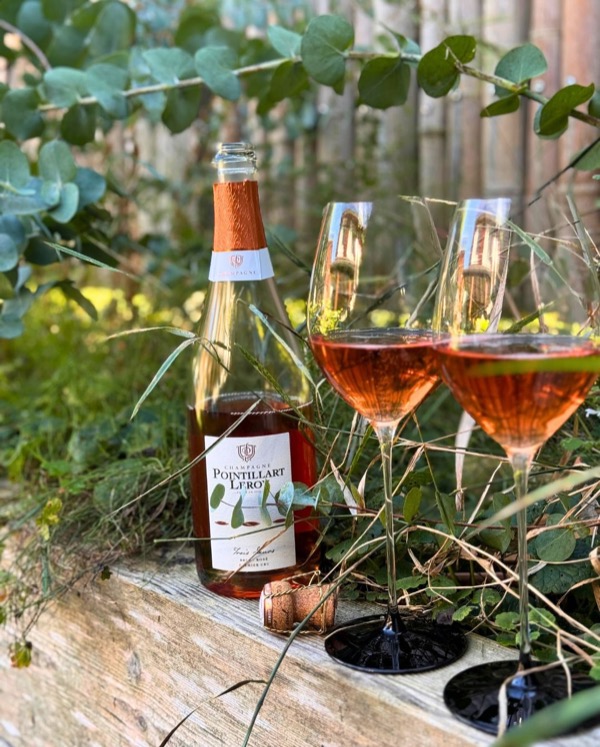 Gestern – vermutlich einer der letzten warmen Sommertage. 
Die Nachmittagssonne stand schon tief – aber sie hatte noch so viel Kraft, dass wir…