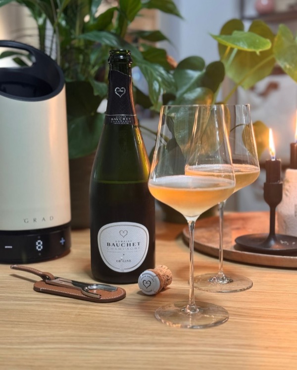 Nachdem ich den Mémoire 2018 von Bauchet Anfang Januar zu Semmelknödeln und Pilzen gefeiert habe, ist heute das Fundament des Hauses an der Reihe:…