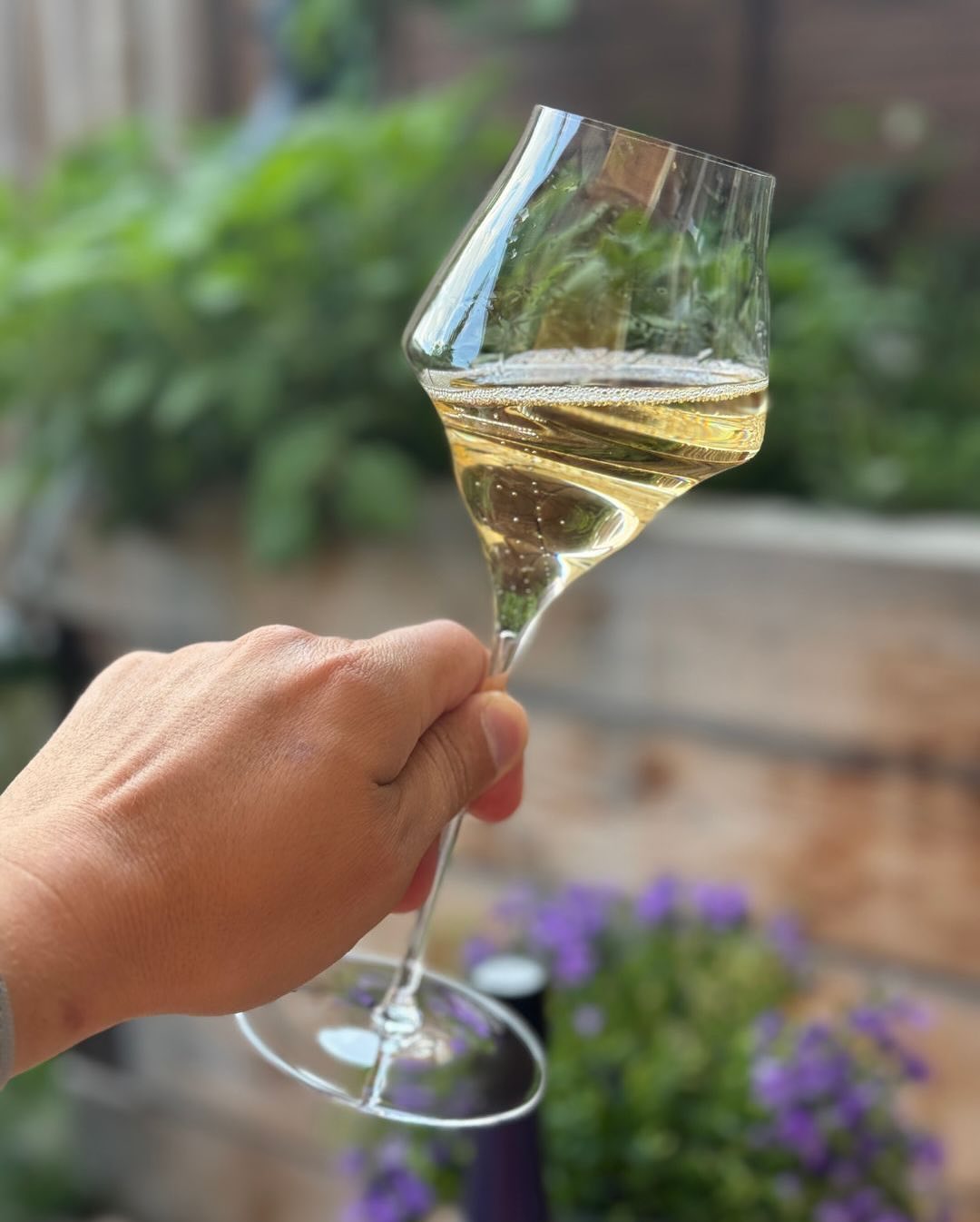 Letzte Sonnenstrahlen. Ein stiller Abend. Und ein Glas mit Kante. ​ @champagnelombard – Extra Brut – Premier Cru – Blanc de Noirs ​ Keine Begleitung, kein Essen – nur die Hitze … (9)