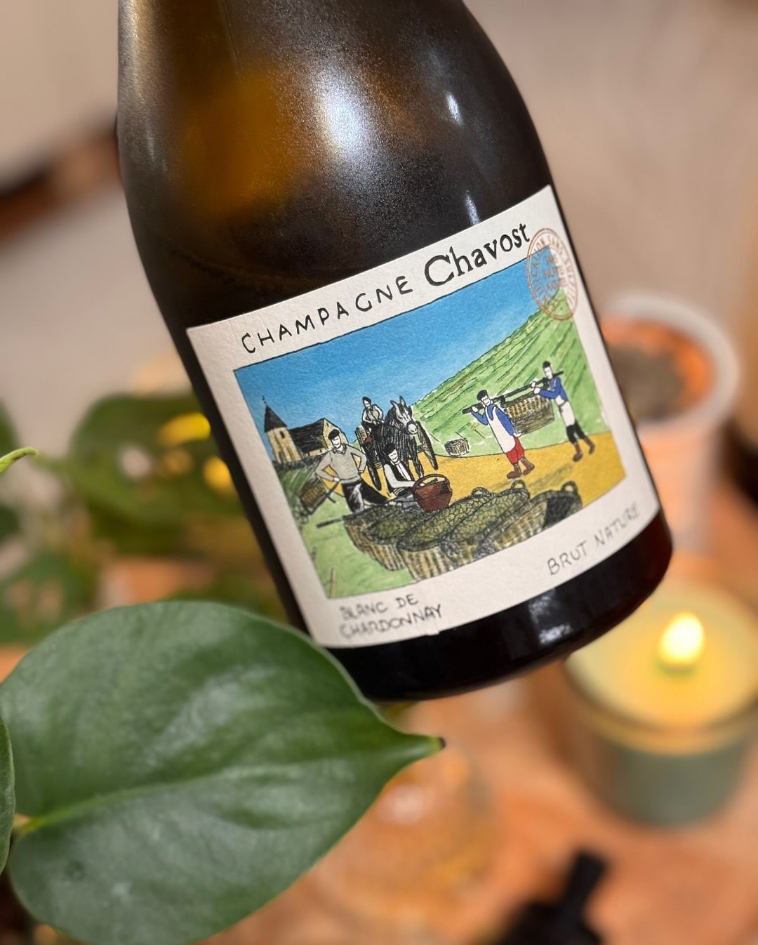 Ich hatte in den letzten Monaten einige wirklich schöne Begegnungen mit @champagnechavost – jede Flasche präzise, lebendig, modern gedacht. ​Gestern dann aber: das erste Mal „Ma… (8)
