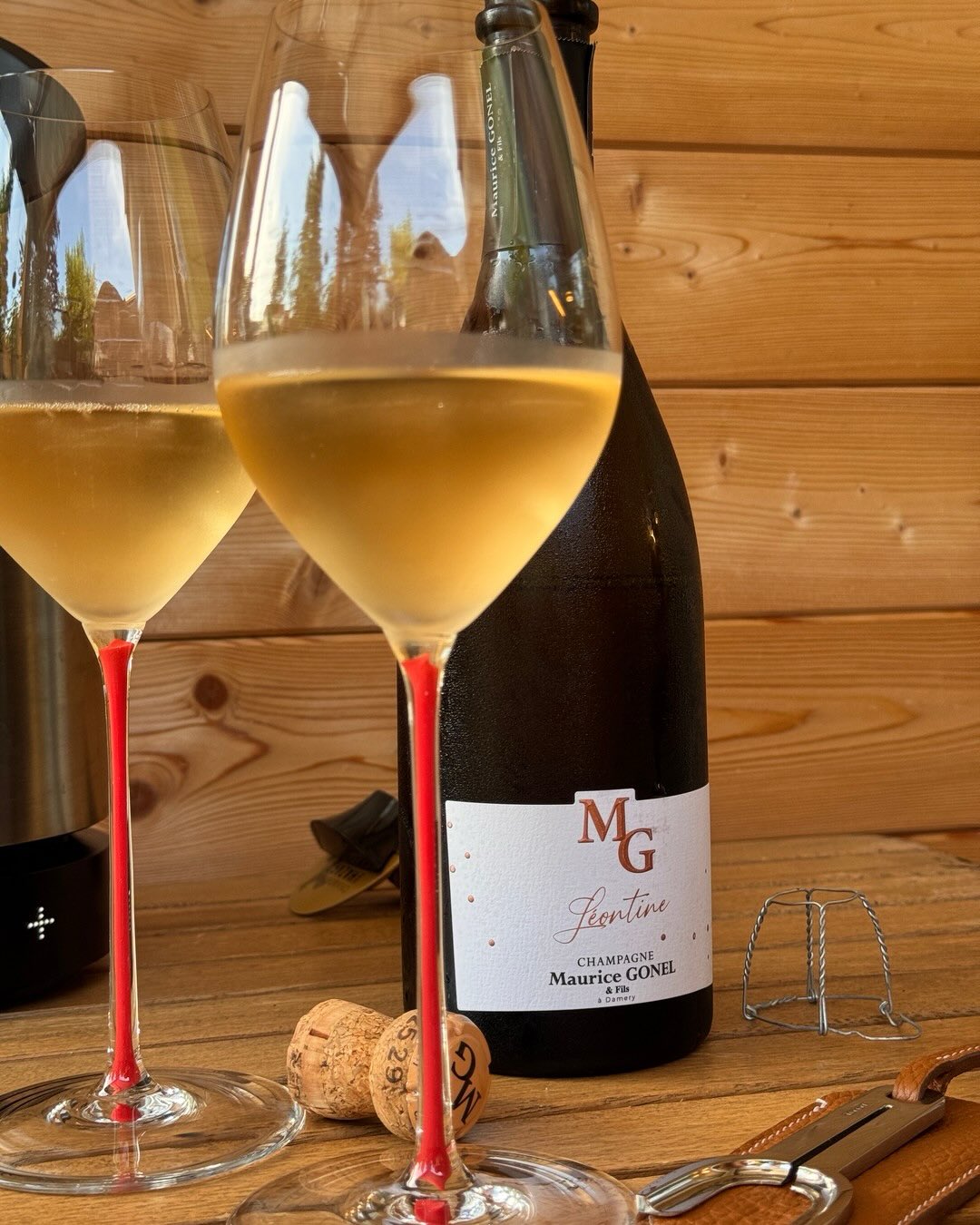 Die Léontine 2021 von @champagnemauricegonel ist der Jahrgangs-Meunier des Hauses, und schon die Vinifikation macht klar, dass das kein Alltagswein sein soll: 12 Monate im alten… (5)