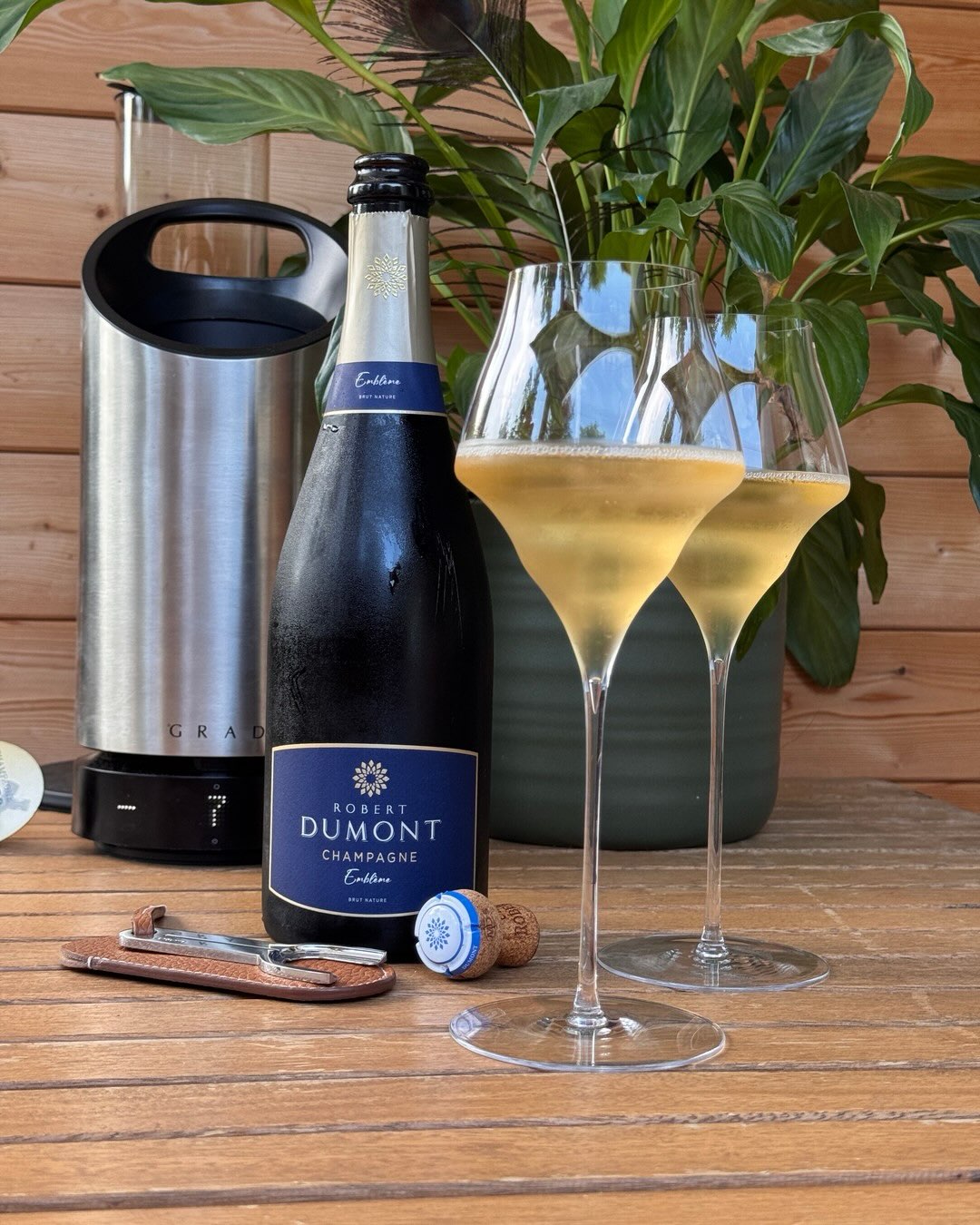 Der Emblème von @champagne.robertdumont ist mit 100% Pinot Noir und 0 g/l Dosage sehr konsequent. Kein Restzucker, nichts, das die Struktur weicher macht. Was übrig bleibt, ist … (1)