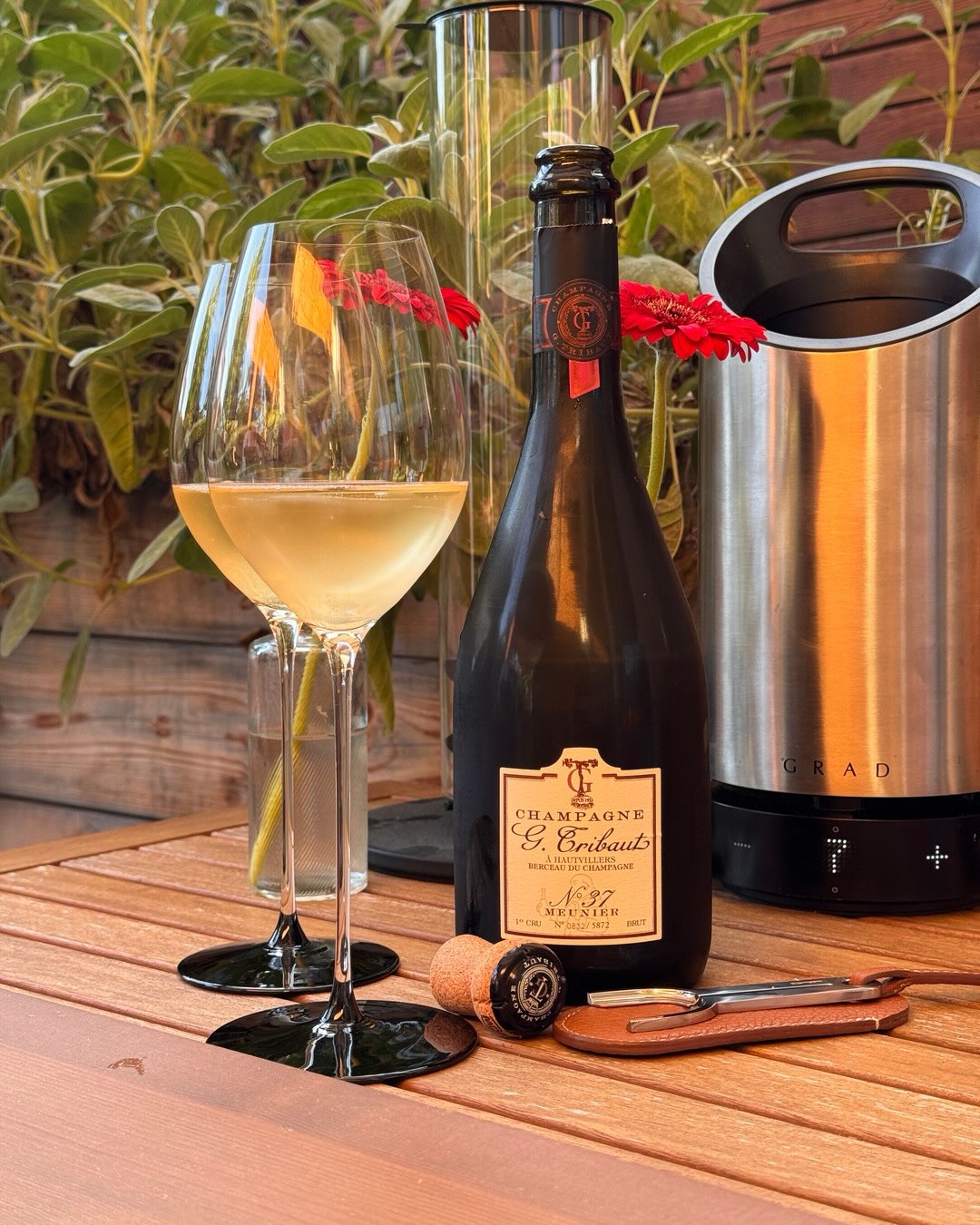 100% Pinot Meunier aus Hautvillers, dem Dorf, in dem Dom Pérignon gewirkt hat und heute begraben liegt. Die Cuvée N°37 von @champagne_g.tribaut ist ihr Meunier-Statement. Keine … (1)