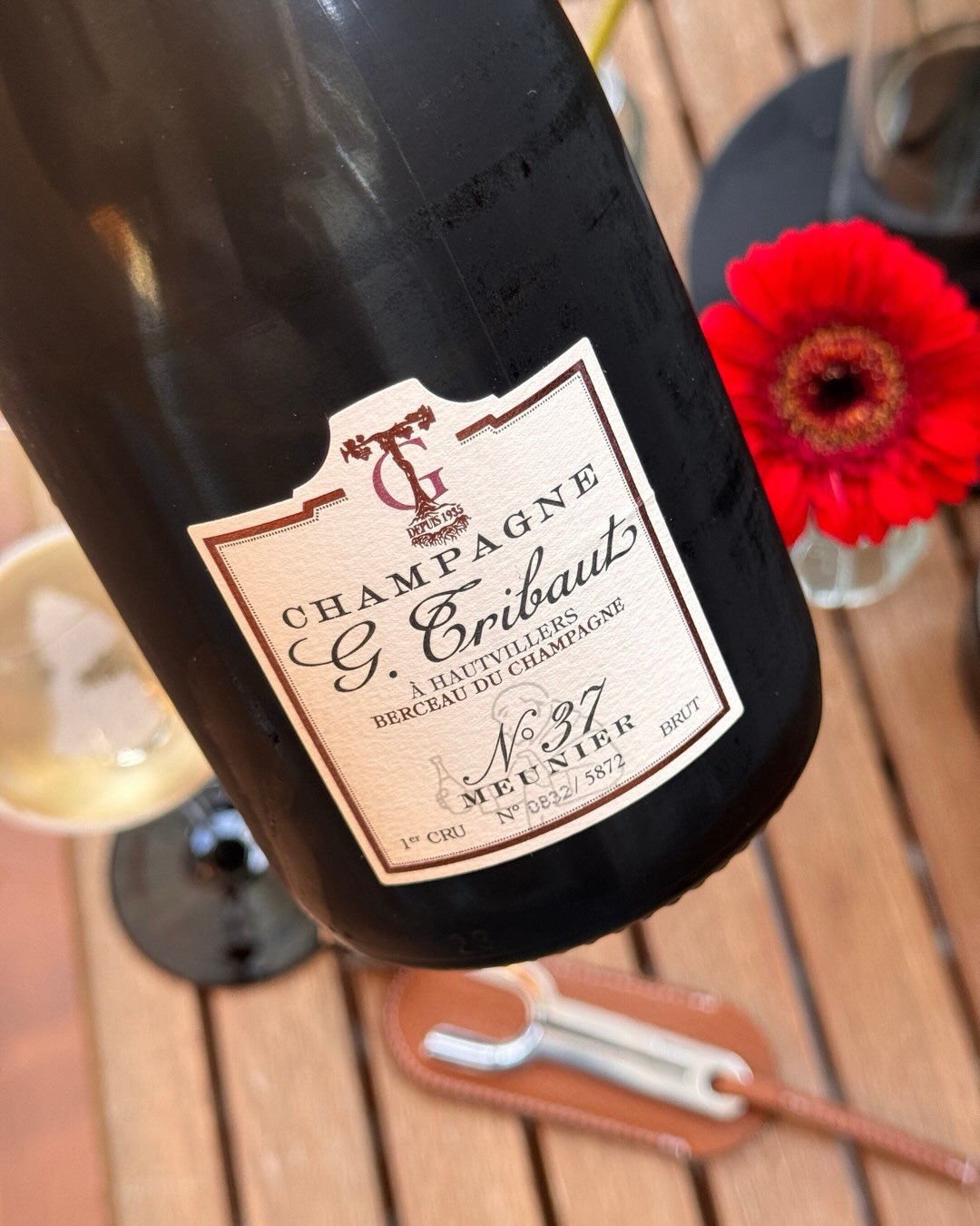 100% Pinot Meunier aus Hautvillers, dem Dorf, in dem Dom Pérignon gewirkt hat und heute begraben liegt. Die Cuvée N°37 von @champagne_g.tribaut ist ihr Meunier-Statement. Keine … (11)
