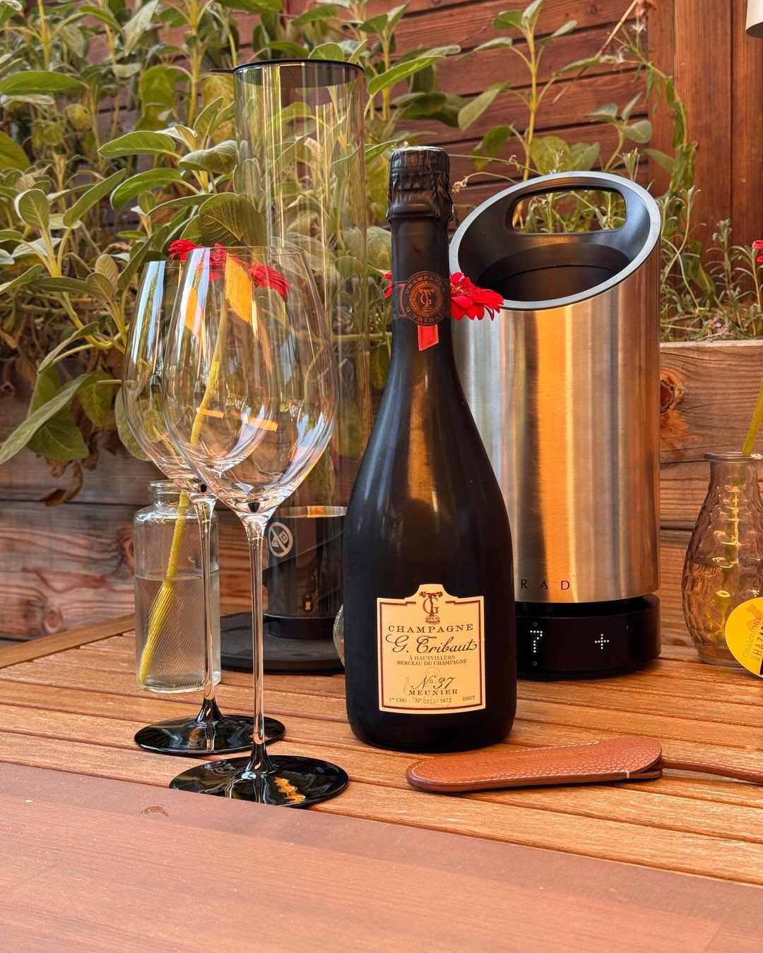 100% Pinot Meunier aus Hautvillers, dem Dorf, in dem Dom Pérignon gewirkt hat und heute begraben liegt. Die Cuvée N°37 von @champagne_g.tribaut ist ihr Meunier-Statement. Keine … (3)