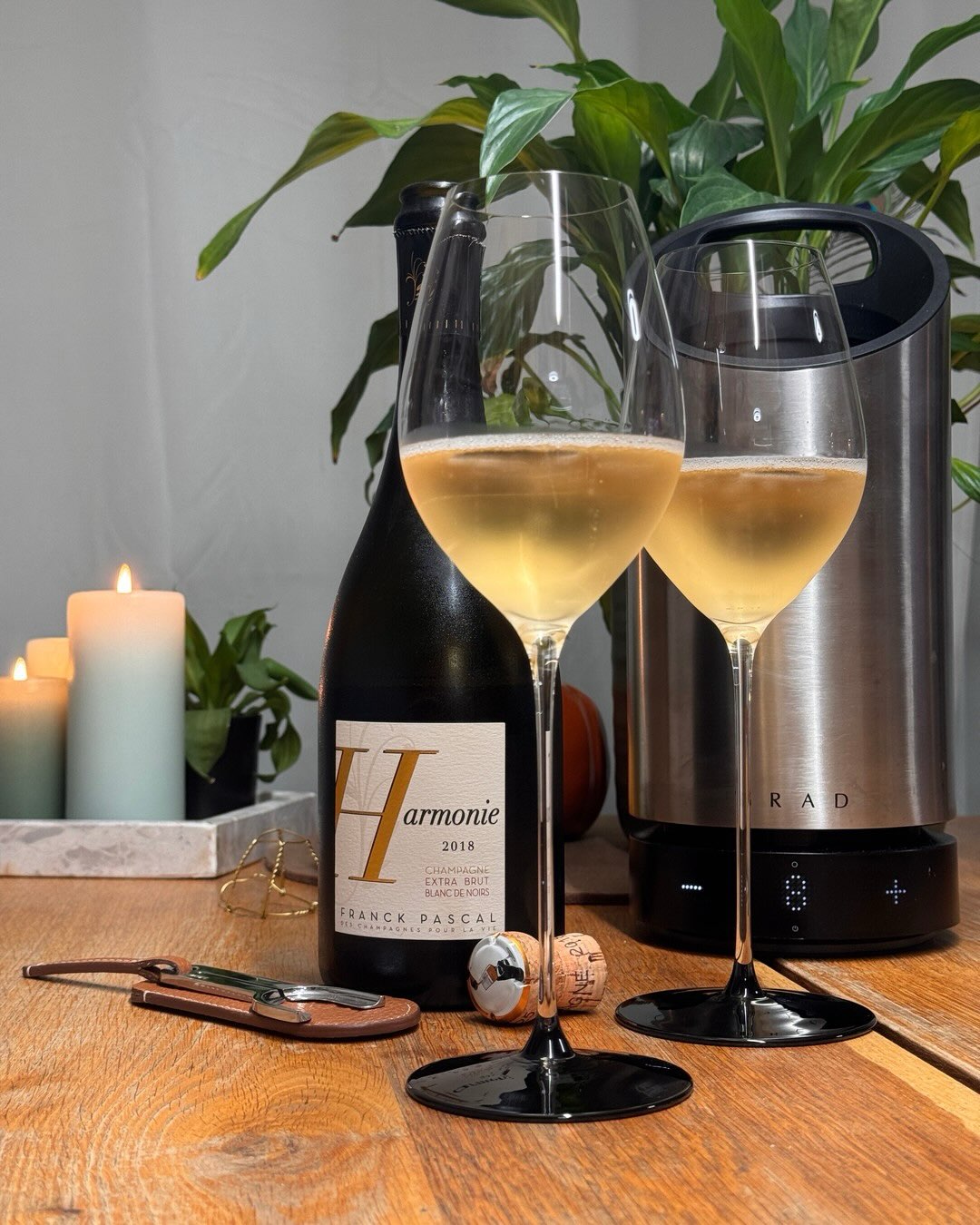 Complantage — ein Wort, das ich kannte, aber nie so direkt auf einem Etikett gesehen hatte. Bei der Harmonie 2018 von @champagnefranckpascal steht es schwarz auf weiß: Pinot Noi… (7)