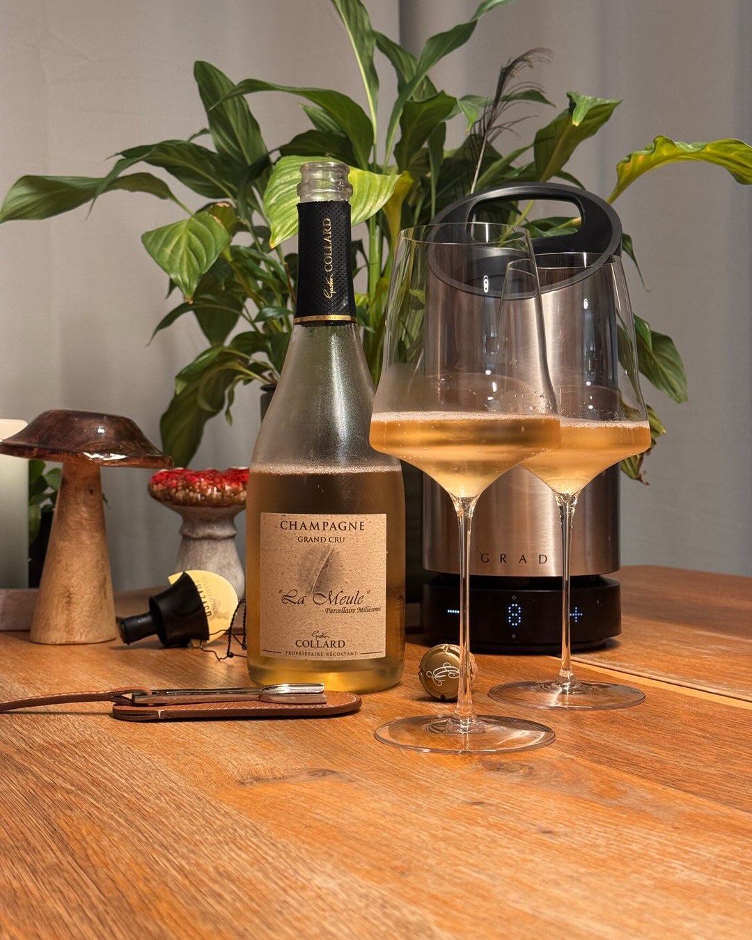 1 g/L Dosage bei einem Parzellen-Pinot Noir aus Bouzy. Fast sechs Jahre auf der Hefe. Weder filtriert noch geschönt. @champagnegastoncollard La Meule ist ein Parzellen-Millésime… (1)