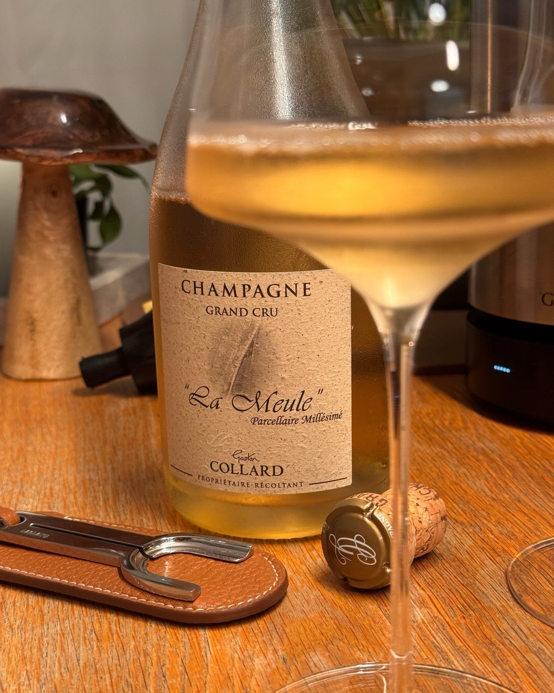 1 g/L Dosage bei einem Parzellen-Pinot Noir aus Bouzy. Fast sechs Jahre auf der Hefe. Weder filtriert noch geschönt. @champagnegastoncollard La Meule ist ein Parzellen-Millésime… (7)