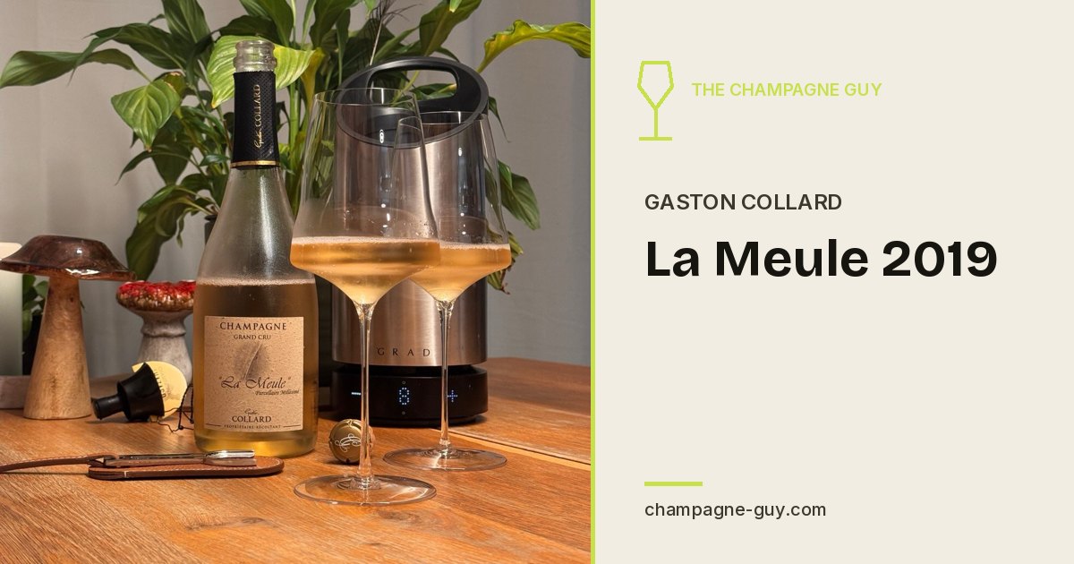 Champagne Gaston Collard : La Meule 2019