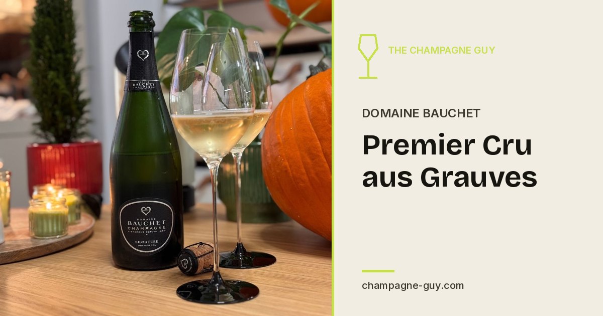 Domaine Bauchet: Premier Cru from Grauves