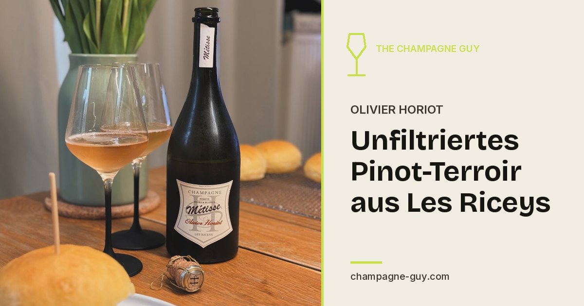 Olivier Horiot: Unfiltered Pinot Terroir from Les Riceys